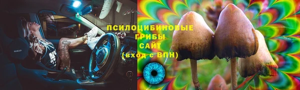 MDMA Premium VHQ Новозыбков