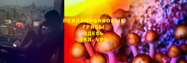 СК Нефтегорск