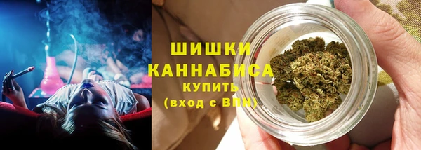 СК Нефтегорск