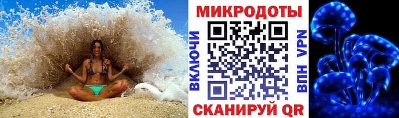 Галлюциногенные грибы Cubensis Купить Кондрово